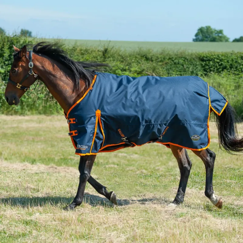 Gallop Trojan 100g Standard Turnout Rug - Navy/Orange