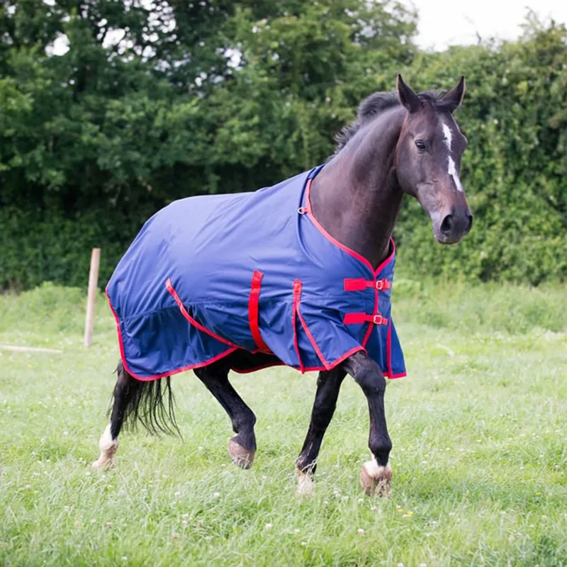 Gallop Trojan 200g Standard Turnout Rug - Navy/Red-1