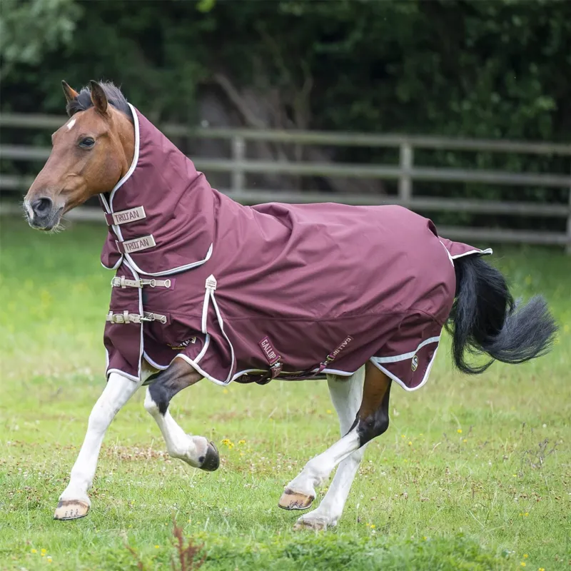 Gallop Trojan Xtra 100g Combo Turnout Rug  - Burg/Beige
