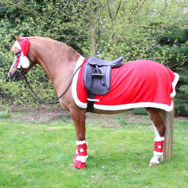 Hy Equestrian Christmas Santa Exercise Sheet