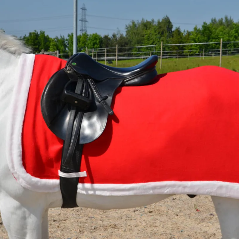 Hy Equestrian Christmas Santa Exercise Sheet-1