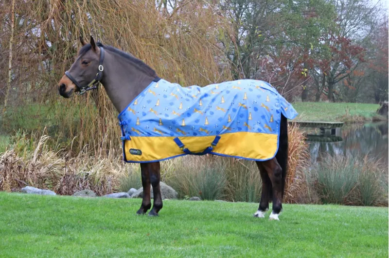 StormX Original 0g Turnout Rug - Chico the Cheetah