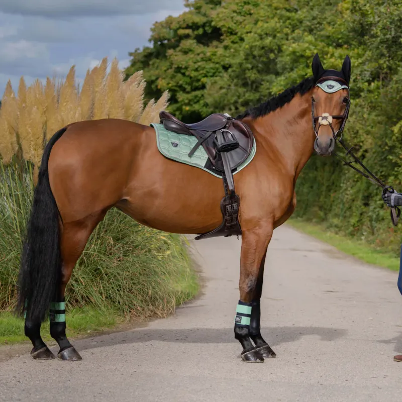 Woof Wear Vision Close Contact Pad - Pistachio-1