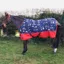 StormX Original 0g Turnout Rug - Thelwell Collection Practice Makes Perfect
