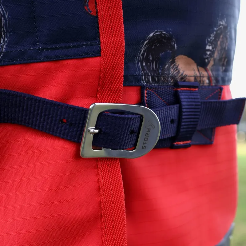 StormX Original 0g Turnout Rug - Thelwell Collection Practice Makes Perfect-1