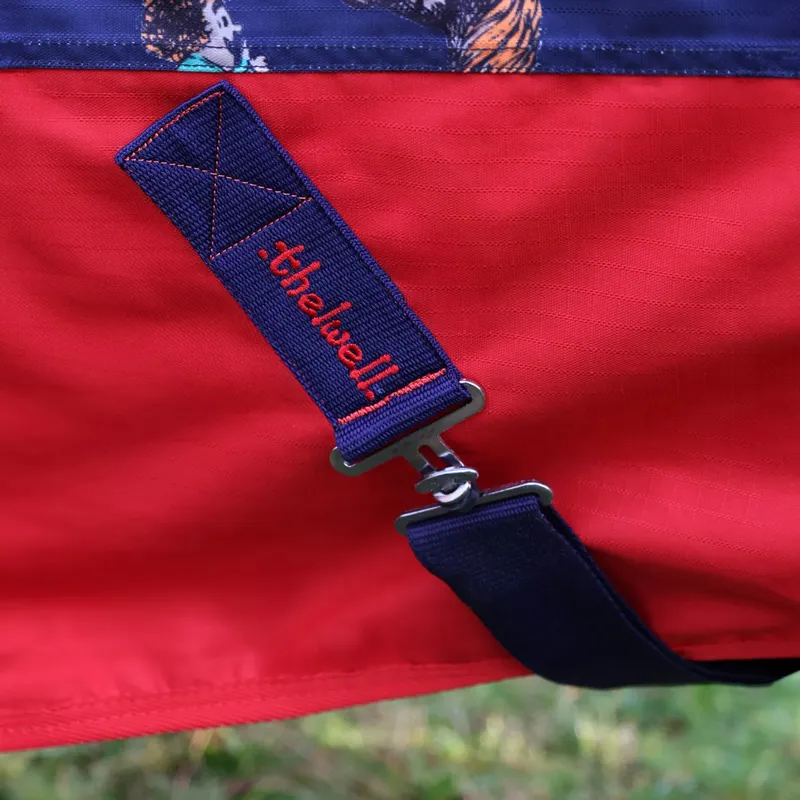 StormX Original 0g Turnout Rug - Thelwell Collection Practice Makes Perfect-3