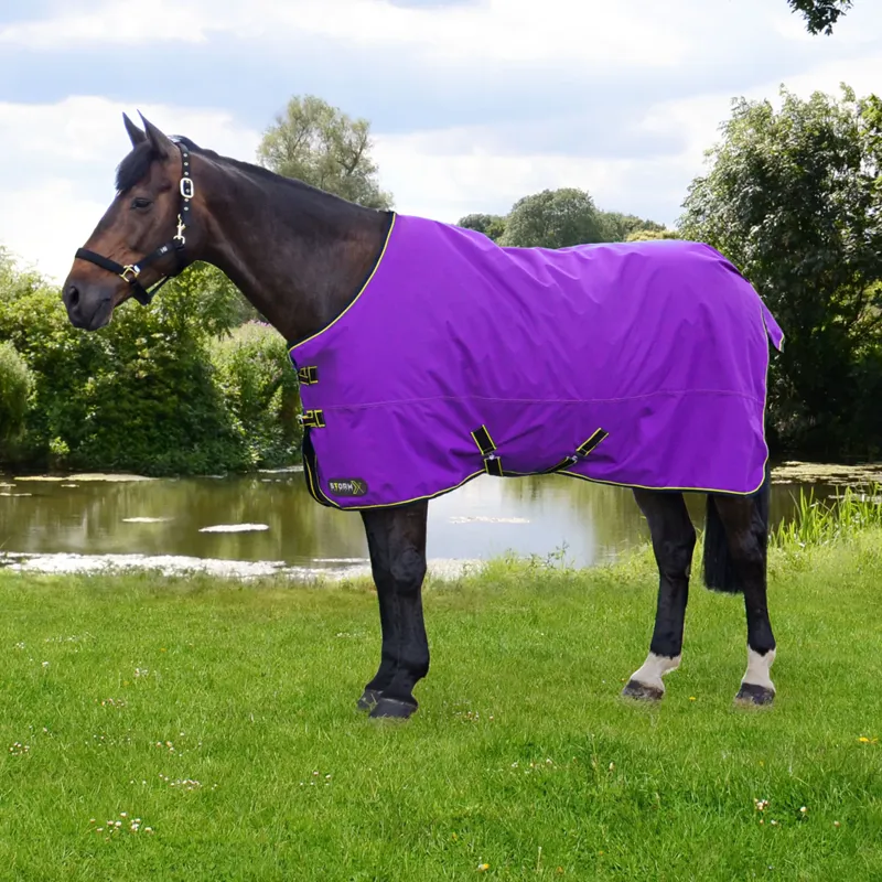StormX Original 50g Turnout Rug - Purple/Dark Purple/Yellow