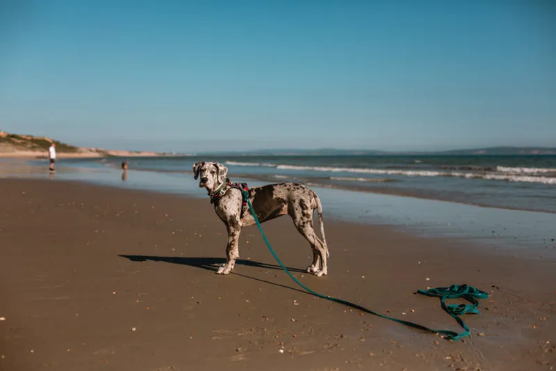 Tidal Waterproof Longline - 5m-3