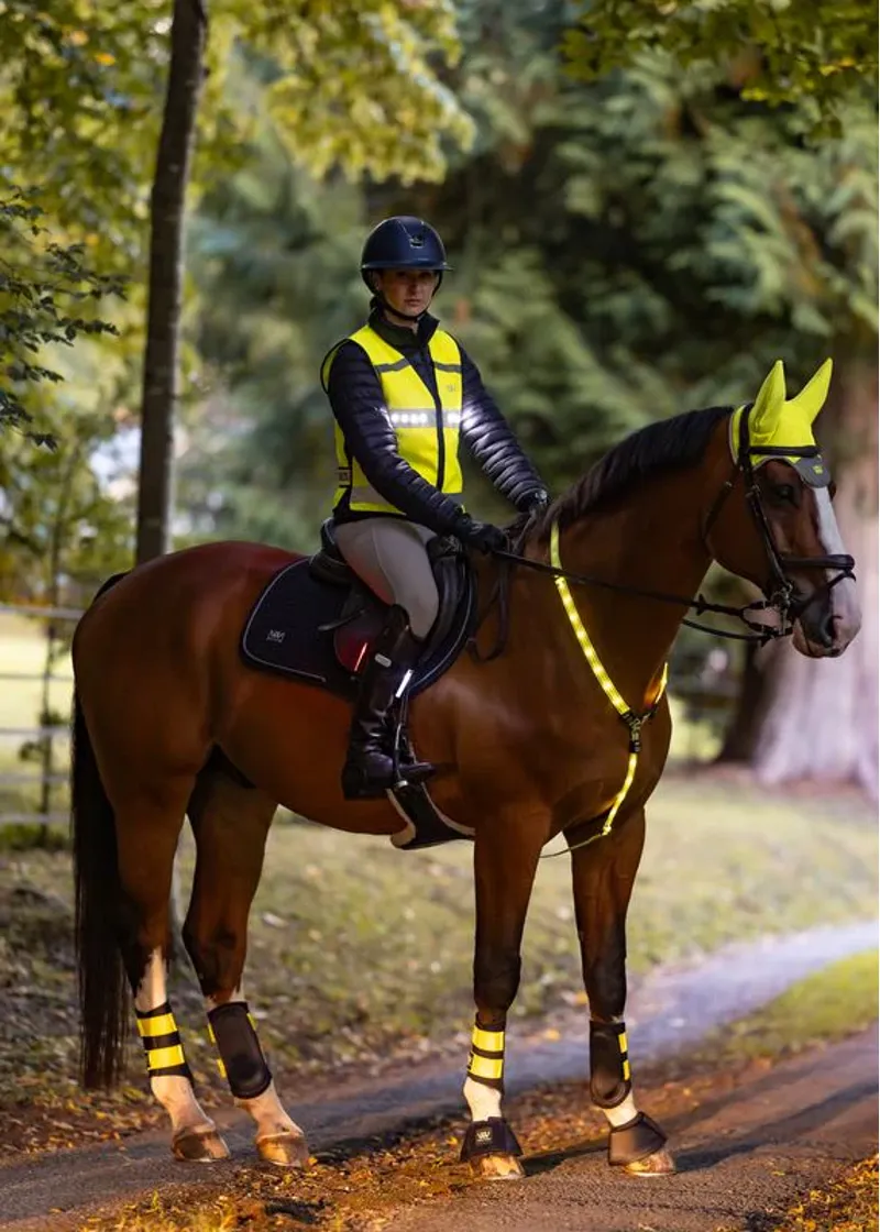 Woof Wear LED Hi Vis Riding Vest - Hi Vis Yellow-2