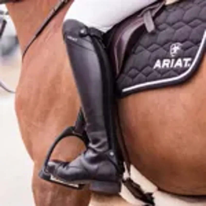 Ariat Palisade Tall Riding Boot SHORT - Black -7