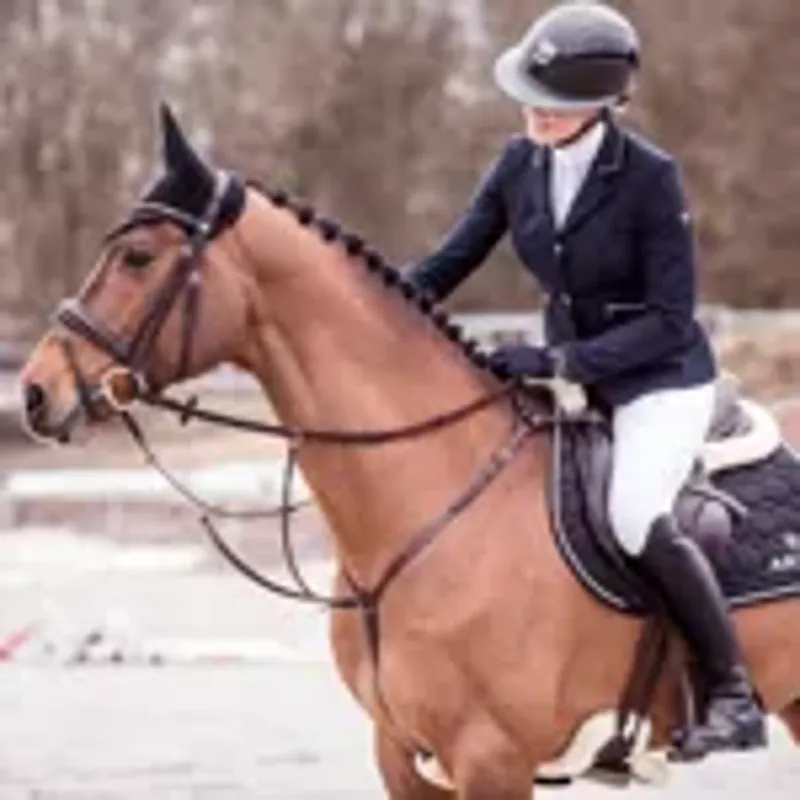 Ariat Galatea Asteri Show Coat - Navy-7