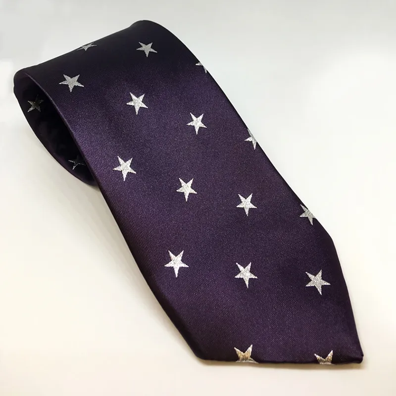 Equetech Stars Show Tie - Purple/Silver