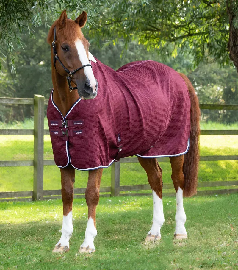 Premier Equine Buster Waffle Horse Cooler Rug - Burgundy