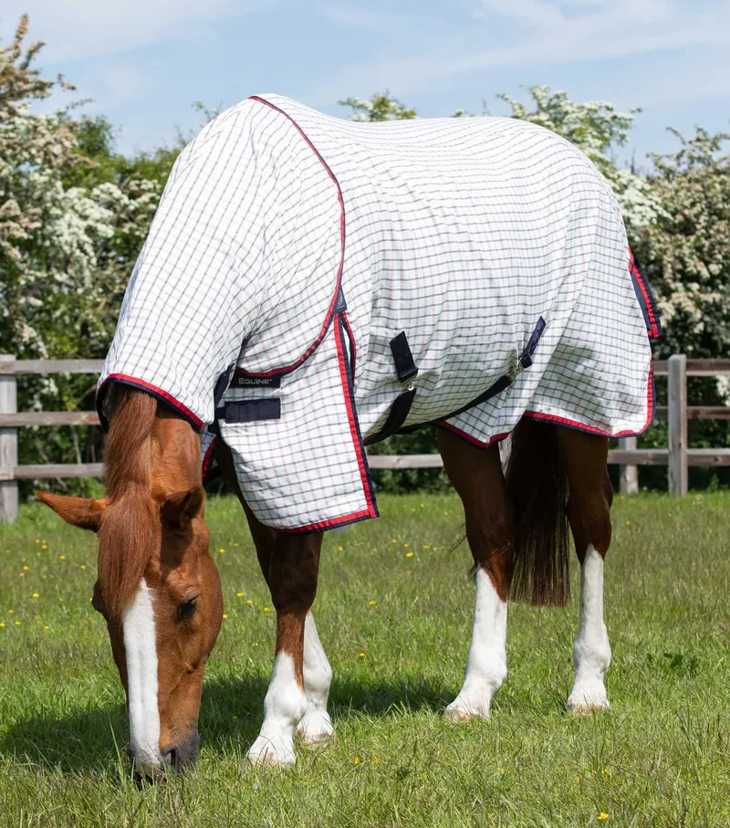 Premier Equine Combo Cotton Sheet - Red Check-1