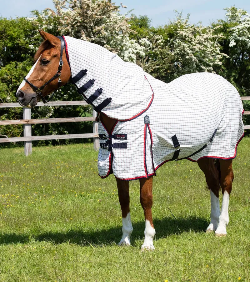 Premier Equine Combo Cotton Sheet - Red Check