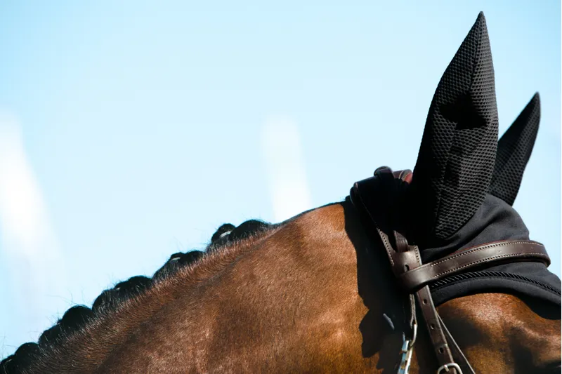 Eskadron Fly Hood Sport Reflexx - Deep Grey-2