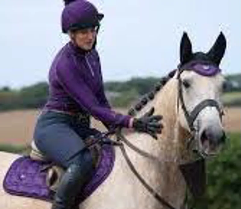 Woof Wear Vision Close Contact Pad - Damson-1