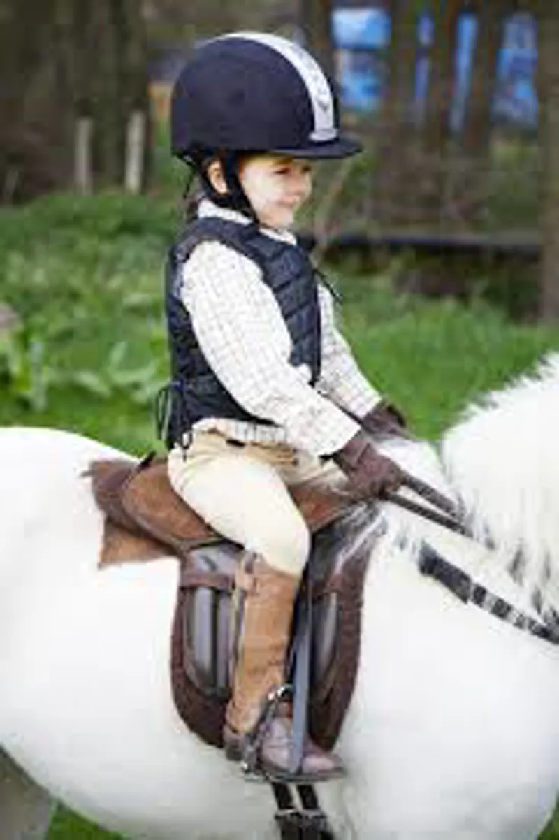 Champion Titanium Ti22 Body Protector Childs - Black-4