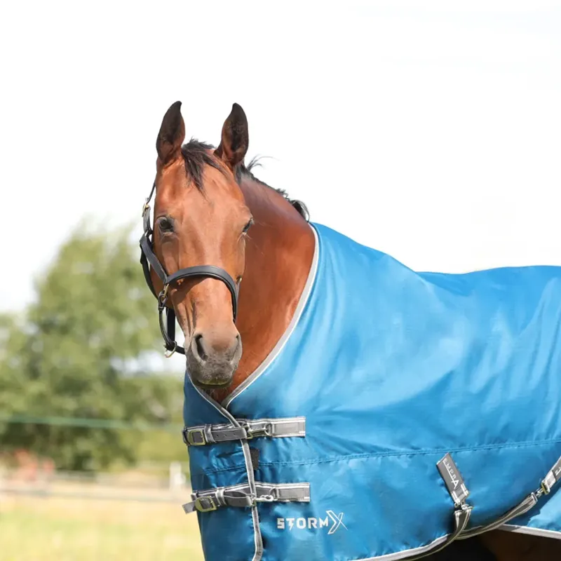 StormX Empra 50g Turnout Rug-1