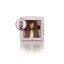 Wild feet Spotted Gift Box Horse Ladies Socks